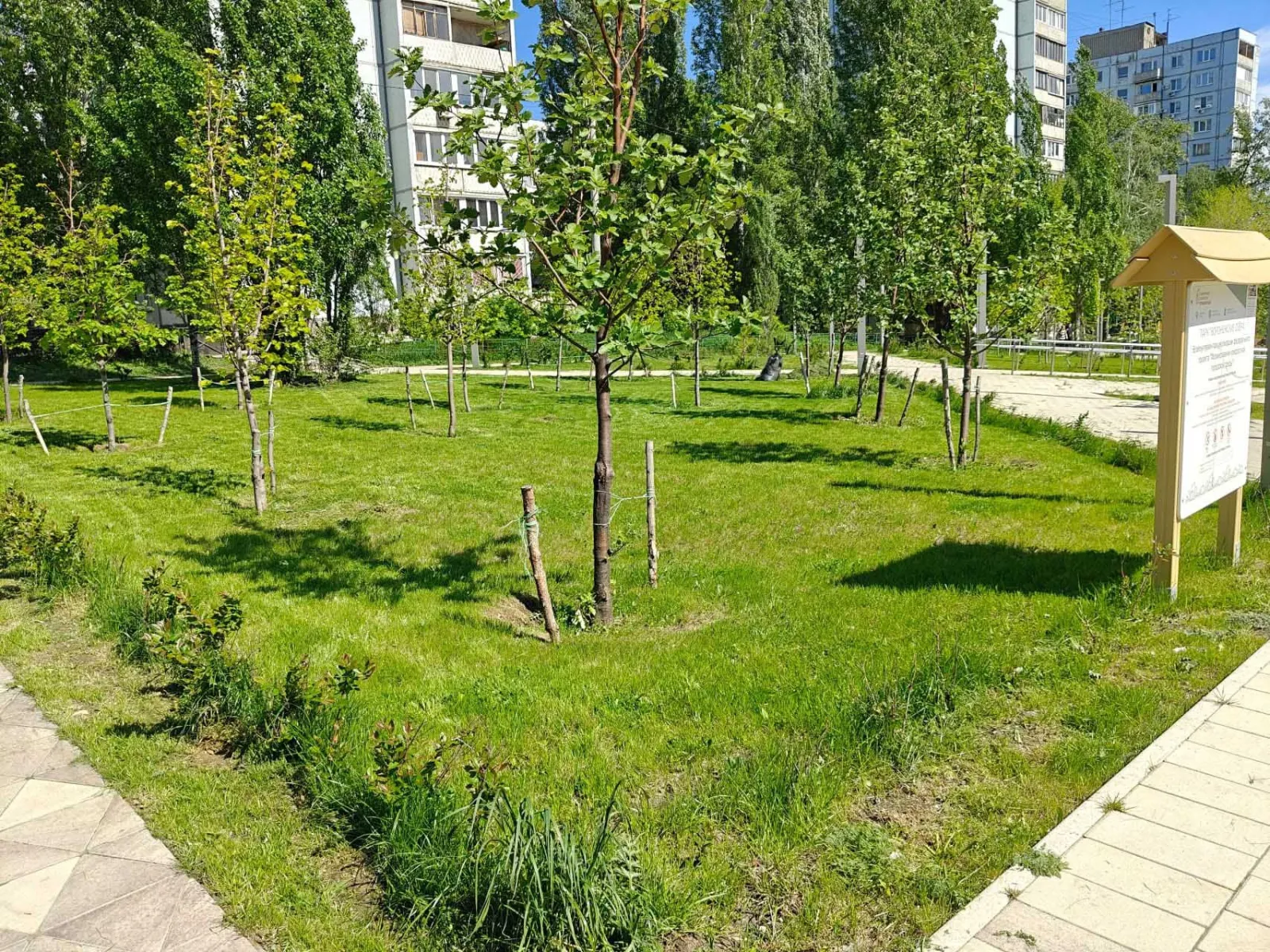 Воронежские озера 2 этап — фото 1