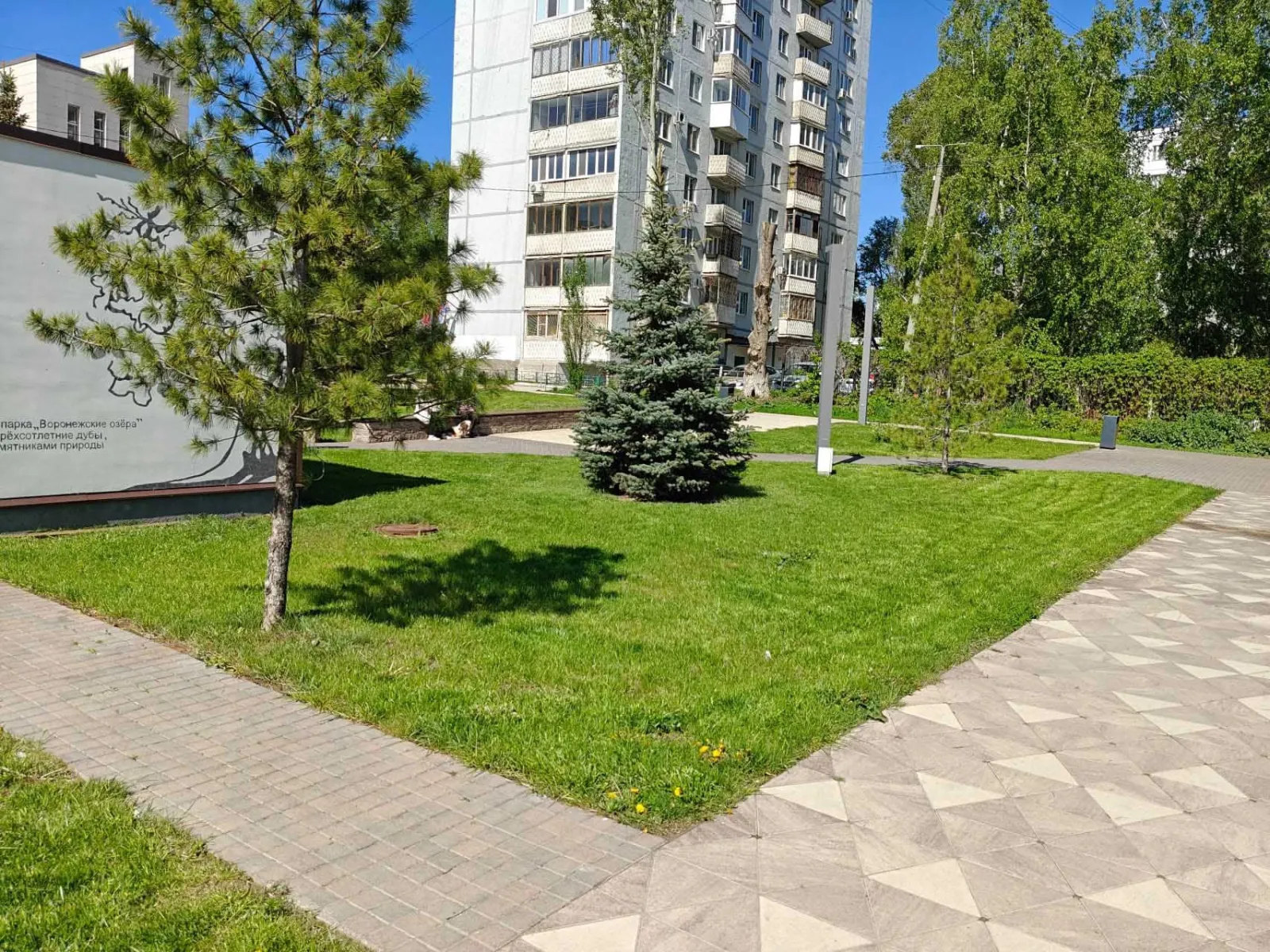 Воронежские озера — фото 1